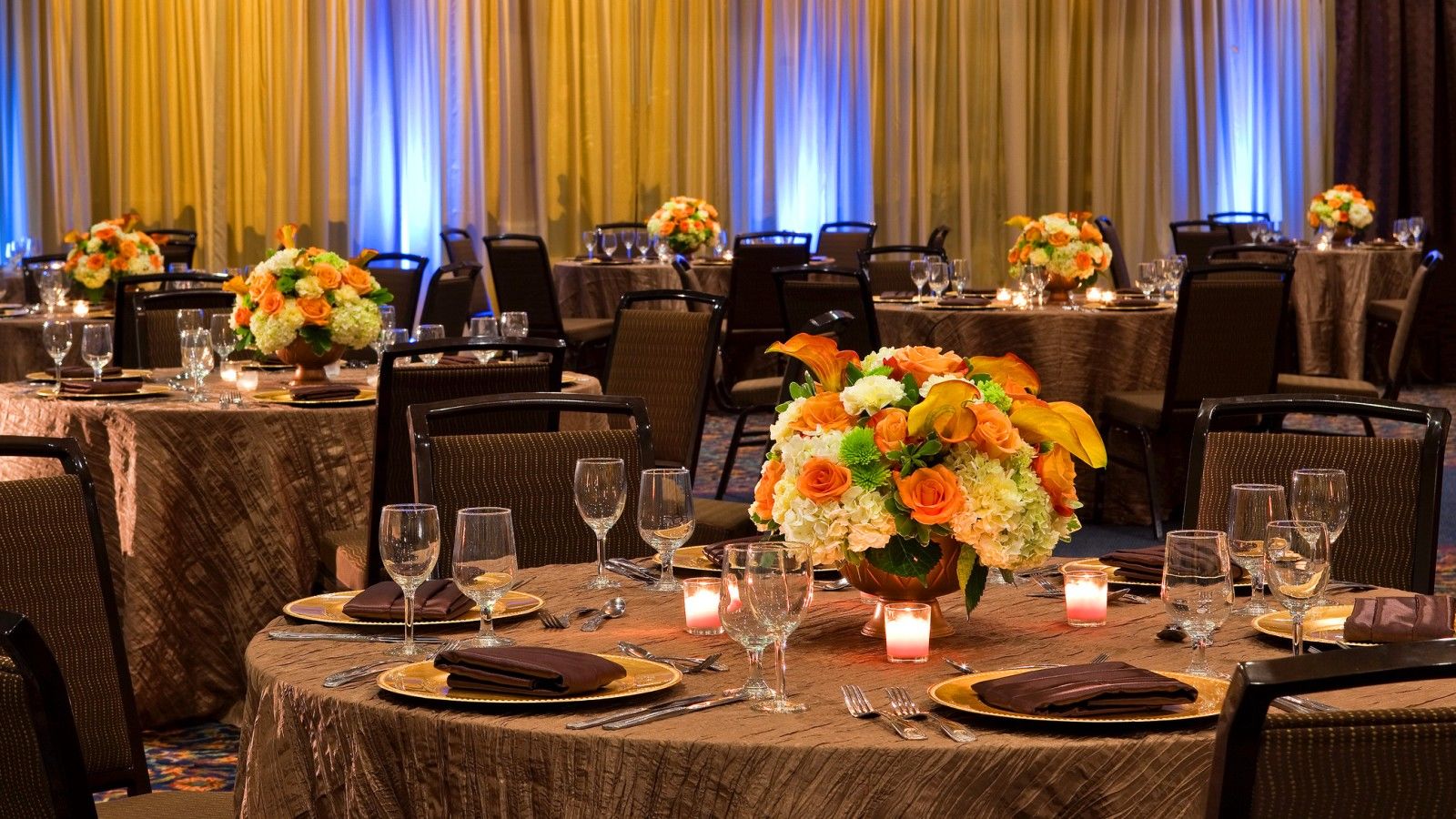 Sheraton Tampa Brandon Hotel Mango Negócio foto